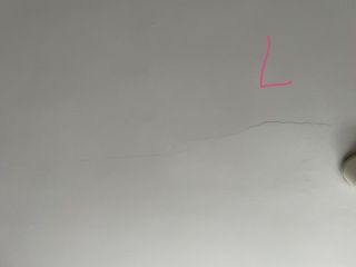Would you replaster this ceiling? (Photos)