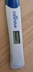 Line progression - 16 day dpo