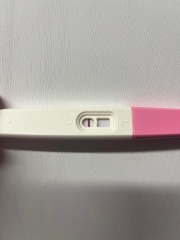 Faint line or evap line?