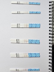 Premom app and ovulation tests