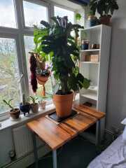 Cancer Support thread 86 - Stay Positive 