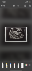 Tricky dating scan! Any guesses on the gender please?