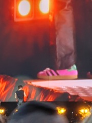 Has anybody been to see Harry Styles???