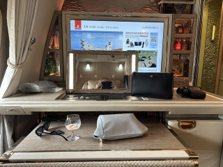 Has anyone flown First Class?