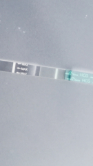 8dpo pregnancy test