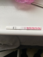 I’ve had a bfp today (see pics) - what are the next steps?!