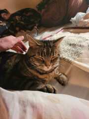 Cancer Support thread 86 - Stay Positive 