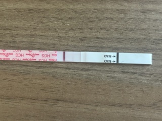 Evap lines?