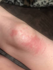 Does anyone know what this is?