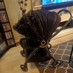 Pram opinion - Uppababy, Silvercross or Venicci