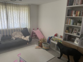 Making living/dining room better for toddler?