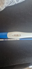 Line progression - 16 day dpo