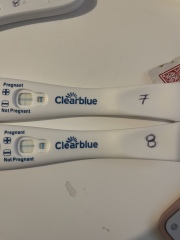 IVF/ICSI/FET May 2023