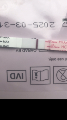 6dpo positive pregnancy test 