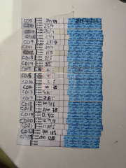 Letrozole first cycle 