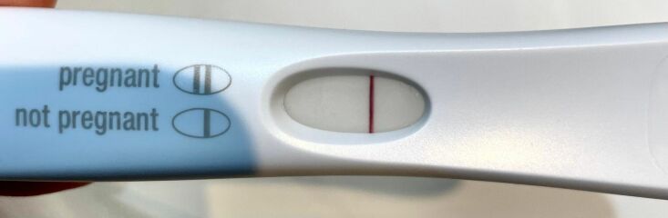 TTC February 2024 babies