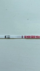 Wondfo Tests