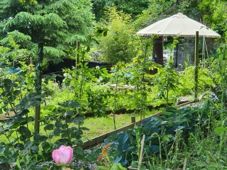 The lovely bit of your house