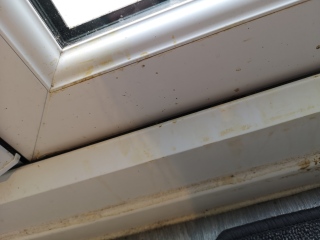 Guess the stain 
