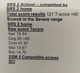 ASD scoring system
