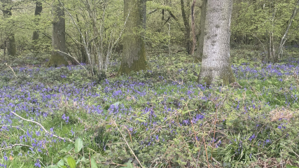 Any Witches Here?- Part 18