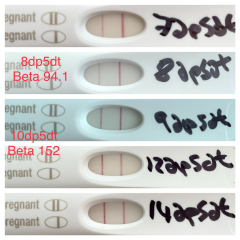 ERA/Alice/Emma infertility thread graduates/pregnancies