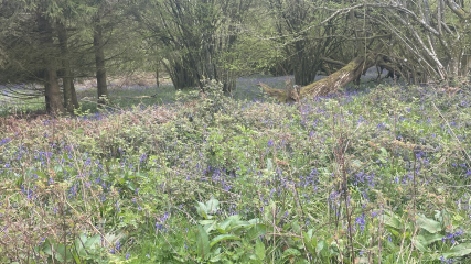 Any Witches Here?- Part 18