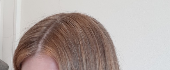 Balayage gone.....orange?