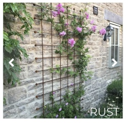 Suggestions for a trellis-type high garden fence, please?