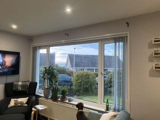 Curtains help - pic of dog included!