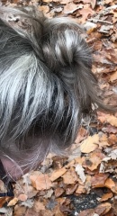 Show me your grey