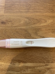 IVF April 2023