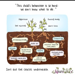 to look for a line between autism acceptance and tolerating unreasonable behavior