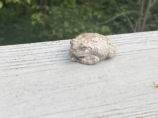 Come and tell me your dull and unexciting news 25: Calmly through the day 