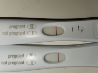 TTC February 2024 babies