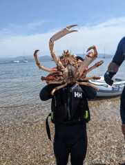 Spring Weather watch