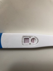 BFP or not?