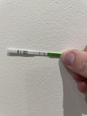 Ovulation 17th or 18th April, TWW