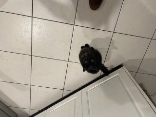 Help with kitchen please!
