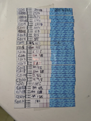 Letrozole first cycle 