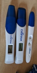 Line progression - 16 day dpo