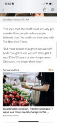 To worry that AI will alter the world beyond all recognition, and not for the better?