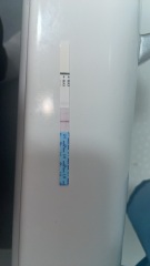 Ovulation tests