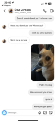 I have a scammer on Instagram- where to go from here