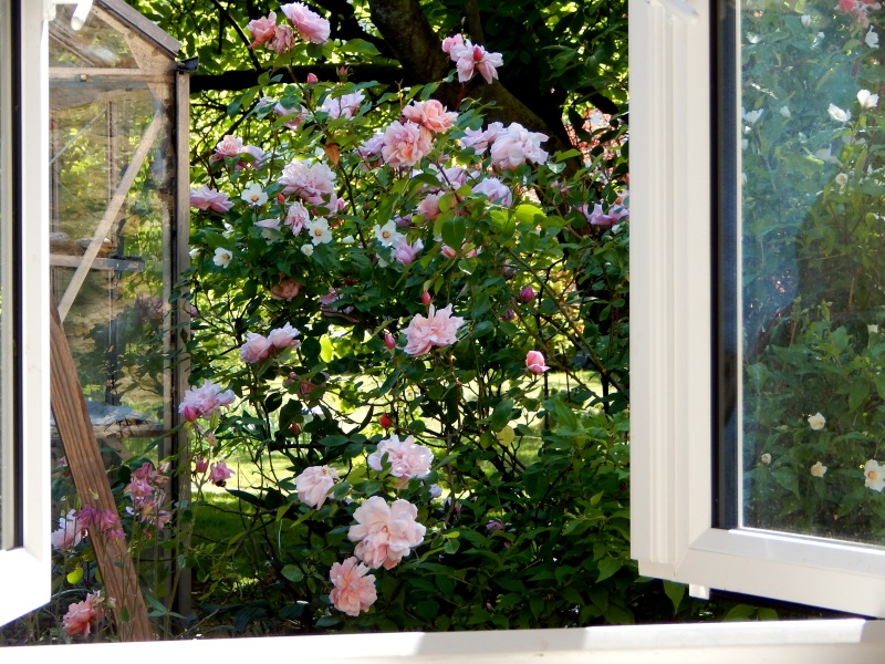 Thread 7 - TalkLair: “In fact it’s an oblate spheroid”