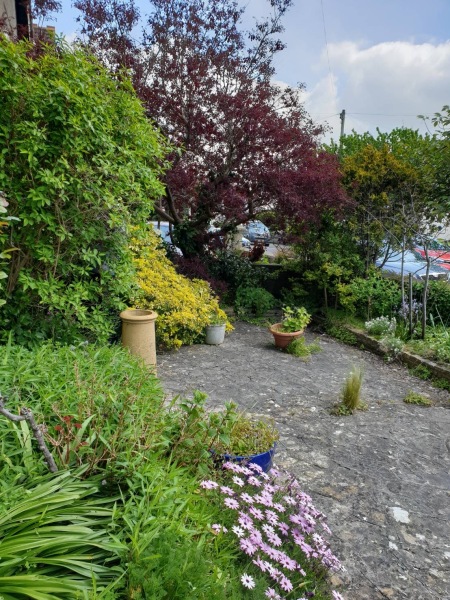 Cheapest way to fix my ugly garden?