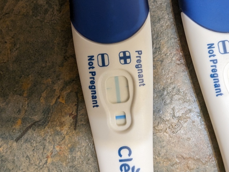 Clearblue pregancy test. Is this real positive or a evap lone