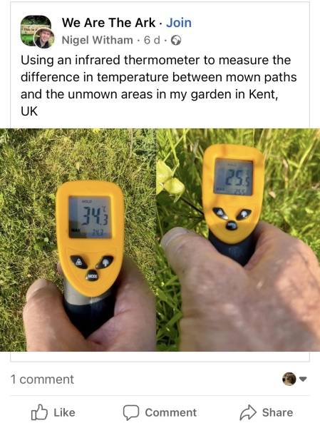 To mow or not to mow: What to do with no mow May lawn now it's nearly July