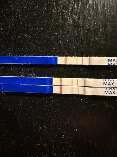 TTC May 2023 💖✨ previous MC March 2023