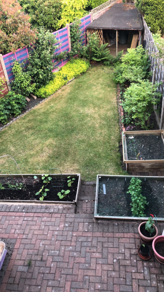 What have you done in the garden today? Part 2